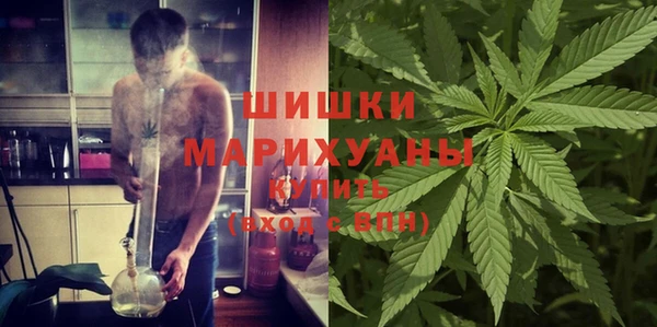 ПСИЛОЦИБИНОВЫЕ ГРИБЫ Ветлуга